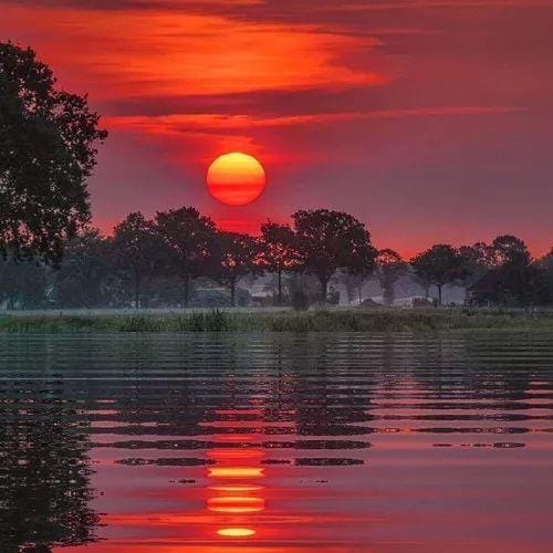 شہروز سبزواری avatar