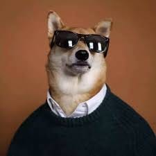 سائرہ یوسف avatar