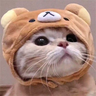 عمران خان avatar