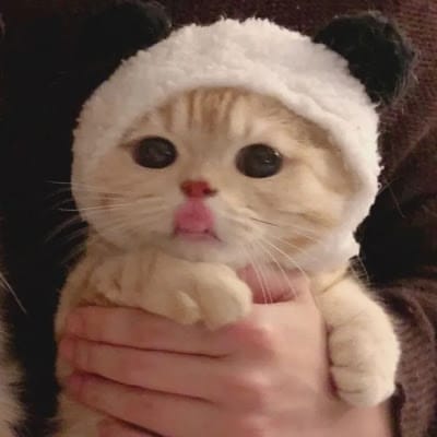 فضل الرحمان avatar